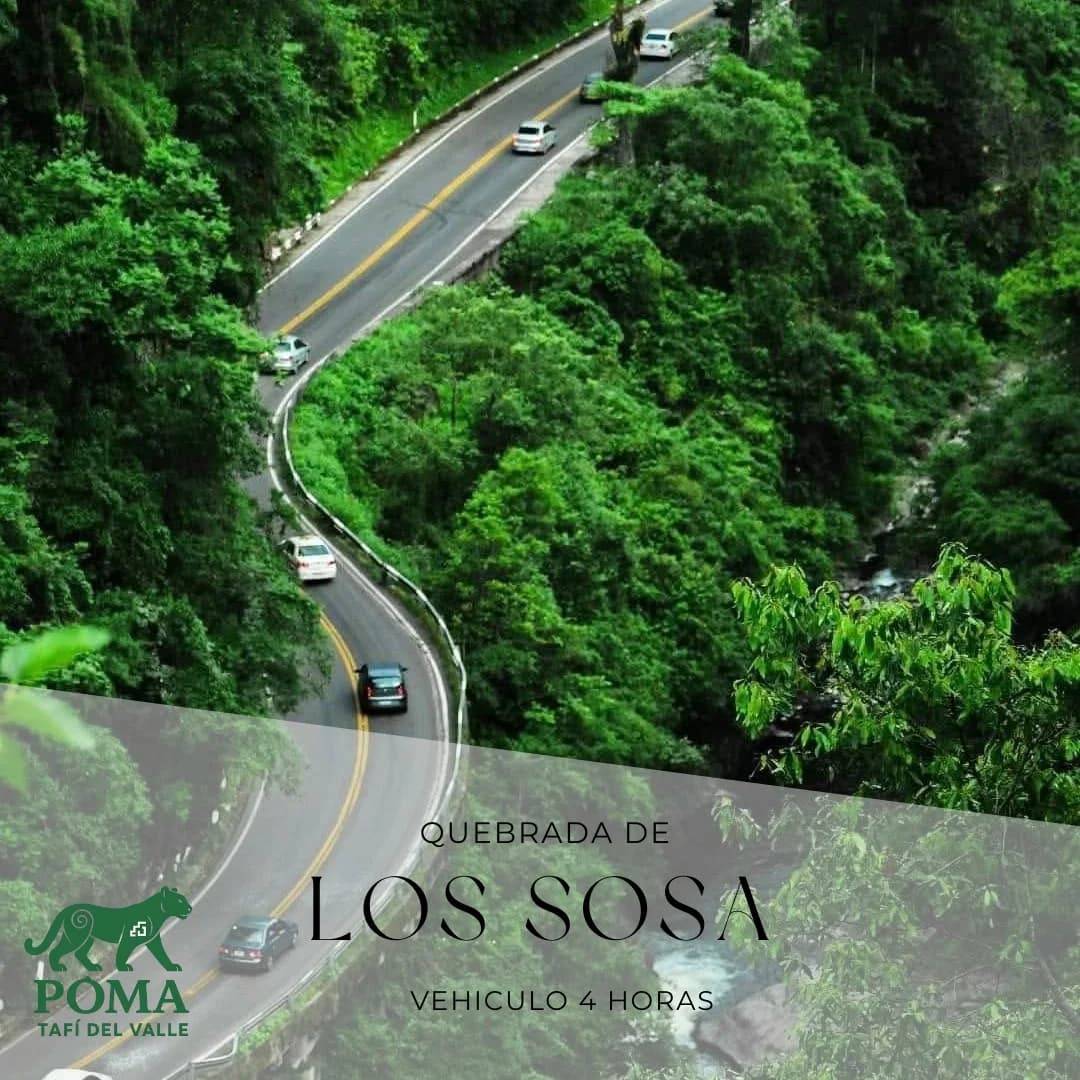 Quebrada de Los Sosa